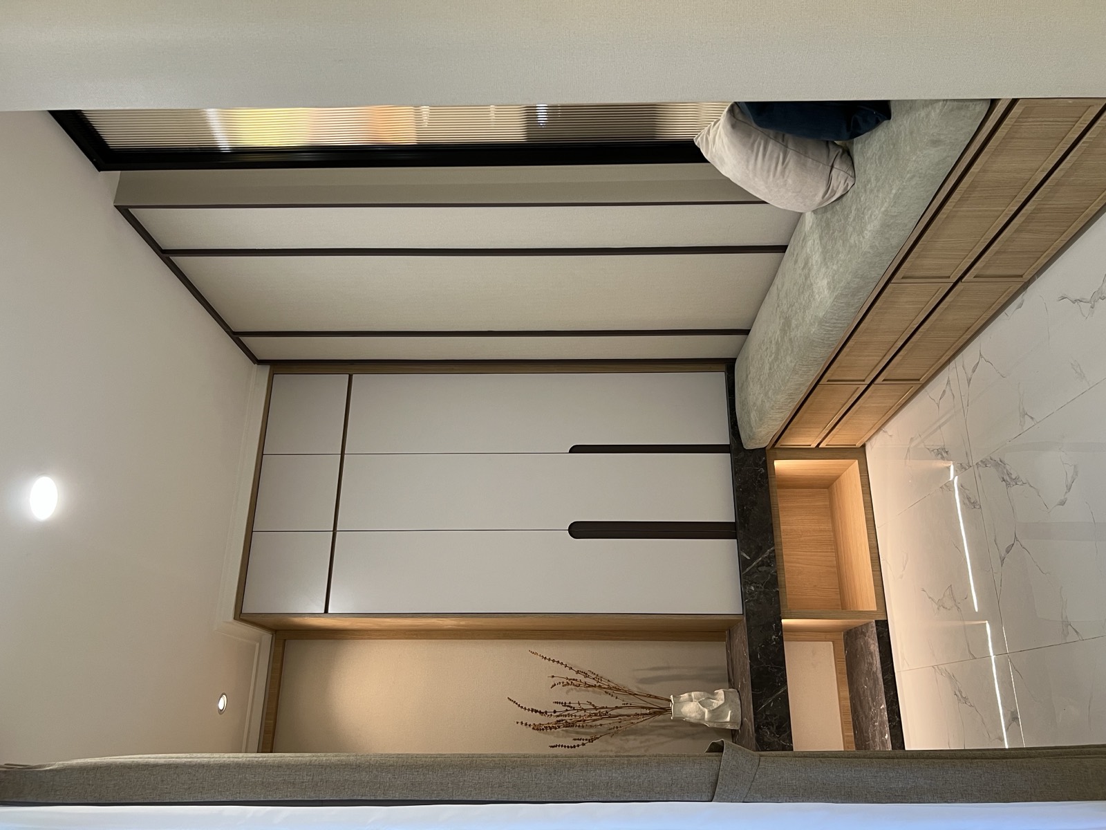 Vernonia interior photograph 9